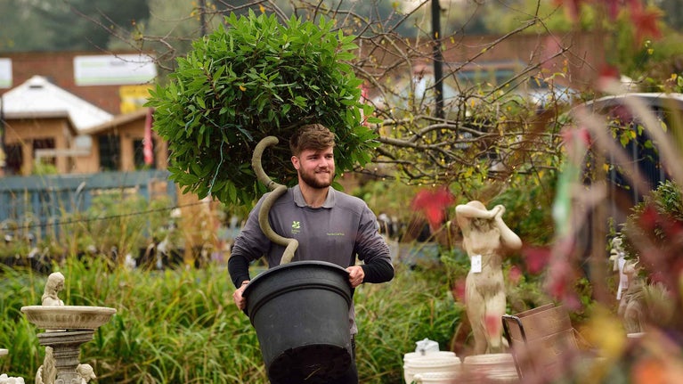 A member of staff carries a potted tree through the garden centre at Morden Hall Park, London, surrounded by plant benches of shrubs, plants and garden ornaments.